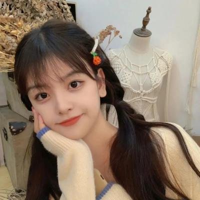 智叻狗仔队